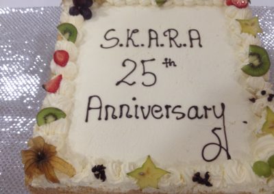 Photo-SKARA-Cake on its own